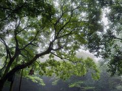 -普陀山慧济禅寺