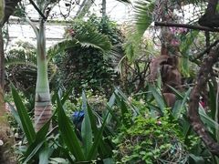 -呀路古热带植物园