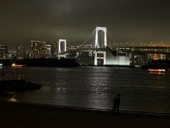 -台场海滨公园船码头