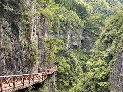 -鹿院坪生态旅游景区