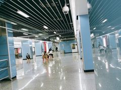 -大龙山(地铁站)