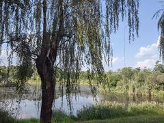 -白鹭湾湿地公园