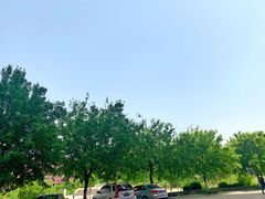 -山东大学(兴隆山校区)