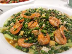 -Grammys格莱美KTV