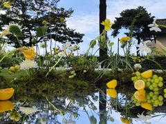 -怪咖·joker陈楠