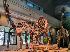 -自贡恐龙博物馆