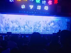 -泉城欧乐堡海洋极地世界