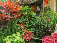 -默迹咖啡馆