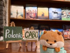 -CABO Coffee