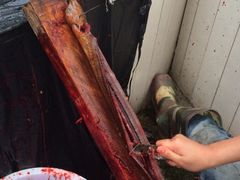 iphone_upload_pic-大口潮火锅