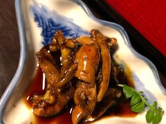 -料亭菊水楼