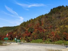 -龙道沟景区