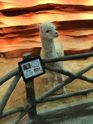 -酷嗒动物文化乐园(cutezoo西溪乐天城店)