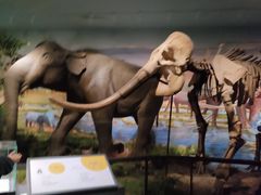 -湖南省地质博物馆