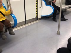 -奥体中心(地铁站)