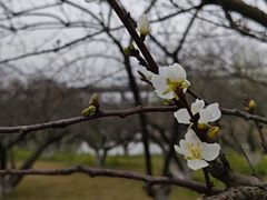-洋湖国家湿地公园