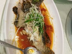 -大东海海鲜酒楼(渔人码头总店)