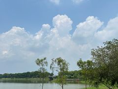 -风云岭森林公园