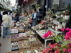 -苏州市皮市街花鸟工艺品市场