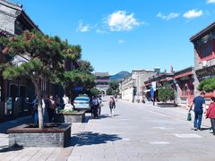 -四条包子(古城街店)