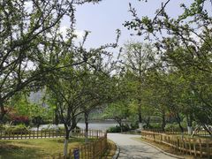 -成都南湖公园