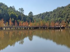 -神光山国家森林公园