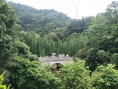 -广州市帽峰山景区