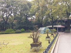 -申粤轩酒楼·三十年粤菜经典(丁香花园店)