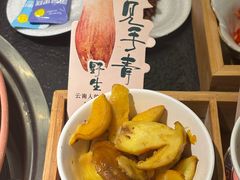 -菌自由丨野生菌火锅特色庭院餐厅(丽江古城店)