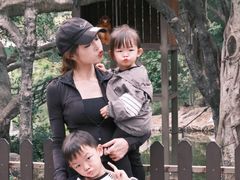 -深圳野生动物园