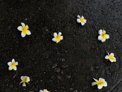 -陈家祠堂-游客中心