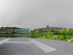 -铁山坪森林公园