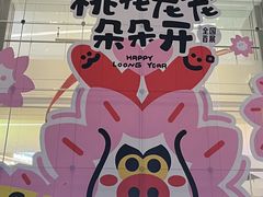 -龙湖成都上城天街