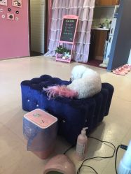 -Pink You美甲美睫纹绣定制中心