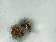 -终南山国家森林公园