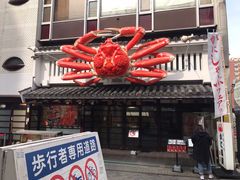 -蟹道乐(道顿堀本店)