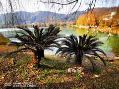-明月山天沐温泉度假村