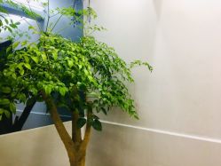 -印·Style造型创始店