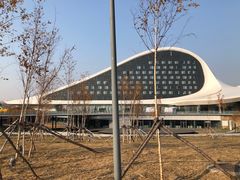 -哈尔滨大剧院