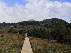 -白草畔自然风景区