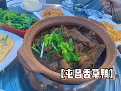-盐禾堂海南屯昌香草鸭(总店)