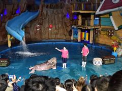 -烟台海昌鲸鲨海洋公园