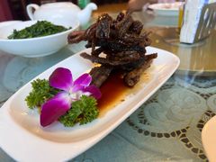 -新聚丰菜馆(太监弄店)