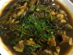 -杨辉饭店