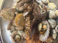 -船梆煮•蒸汽海鲜·炉火烤肉(五四广场店)