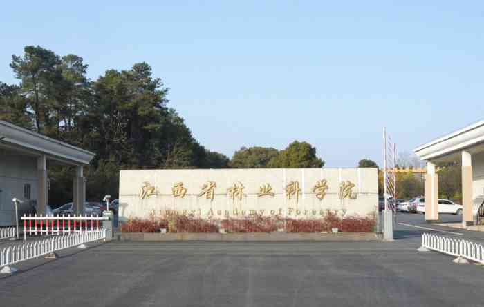 林科院山茶园-"本月去了两次都完美错过樱花盛开美景,月初.