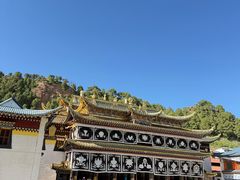 -四川郎木寺镇