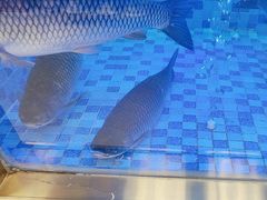 -粤顺渔坊·中山脆肉鲩火锅(清湖店)