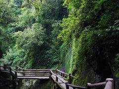 -青城山