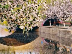 -元大都城垣遗址公园